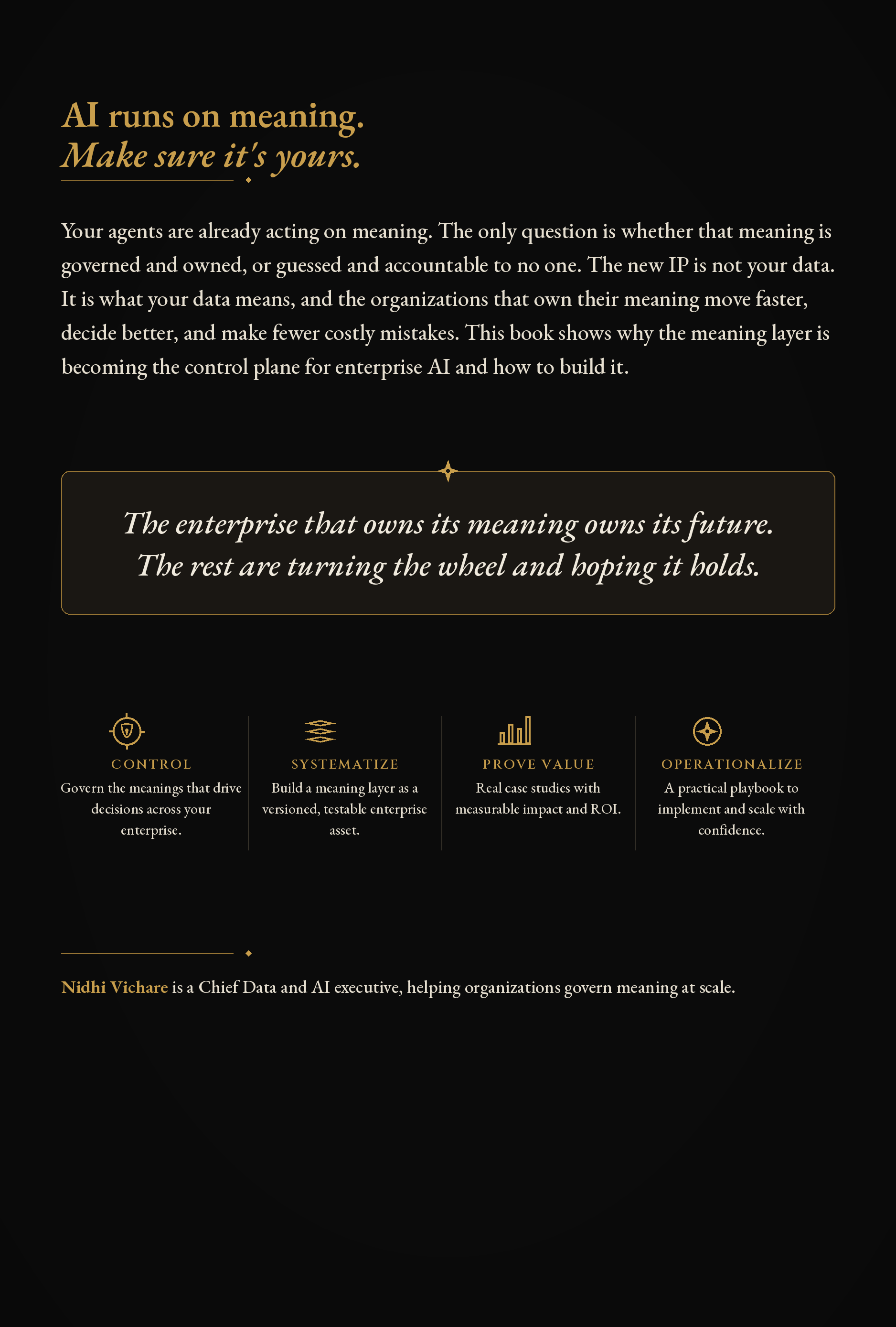 The Meaning Layer book cover, back
